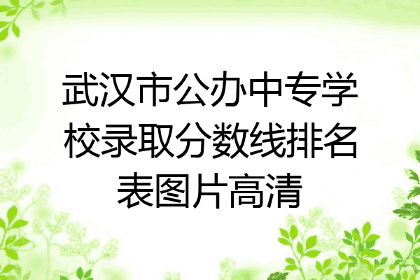 武汉市公办中专学校录取分数线排名表图片高清