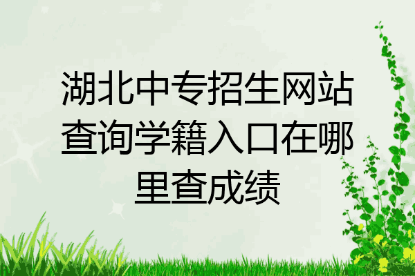 湖北中专招生网站查询学籍入口在哪里查成绩