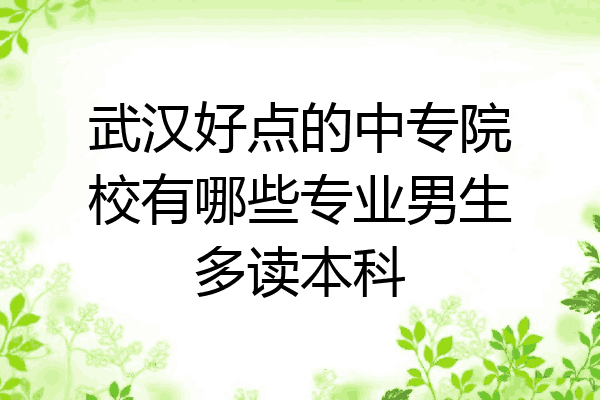 武汉好点的中专院校有哪些专业男生多读本科
