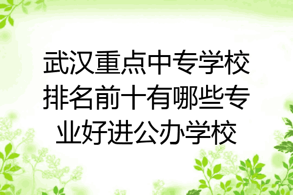 武汉重点中专学校排名前十有哪些专业好进公办学校