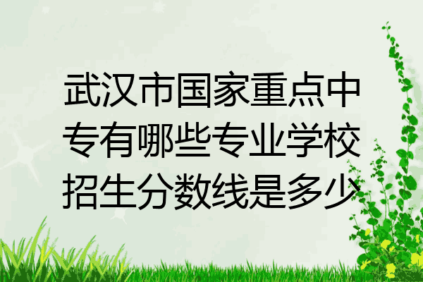 武汉市国家重点中专有哪些专业学校招生分数线是多少
