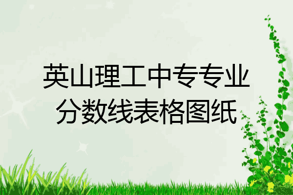 英山理工中专专业分数线表格图纸