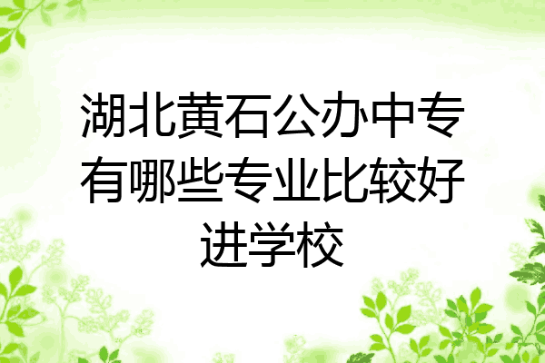 湖北黄石公办中专有哪些专业比较好进学校