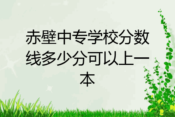 赤壁中专学校分数线多少分可以上一本