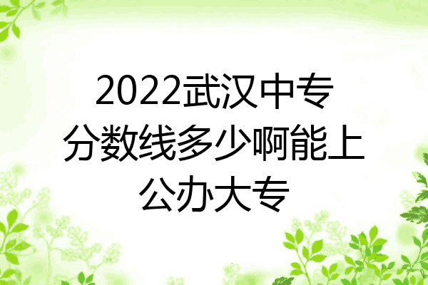 2022武汉中专分数线多少啊能上公办大专