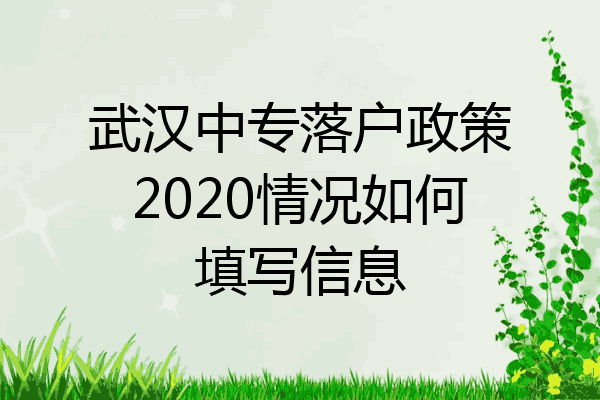 武汉中专落户政策2020情况如何填写信息