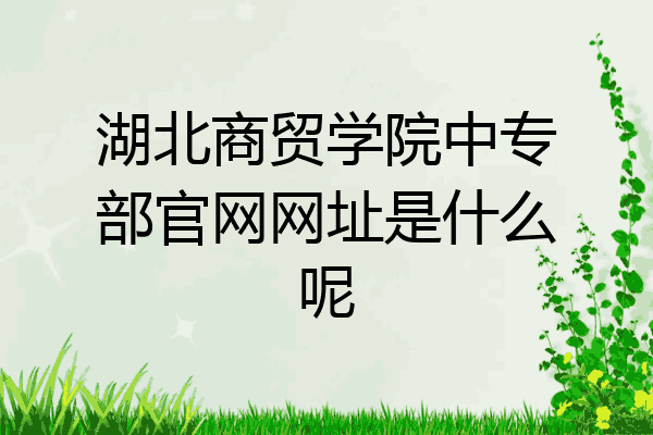 湖北商贸学院中专部官网网址是什么呢