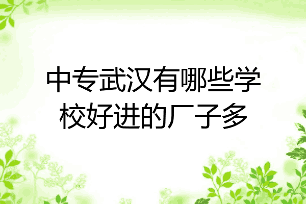 中专武汉有哪些学校好进的厂子多