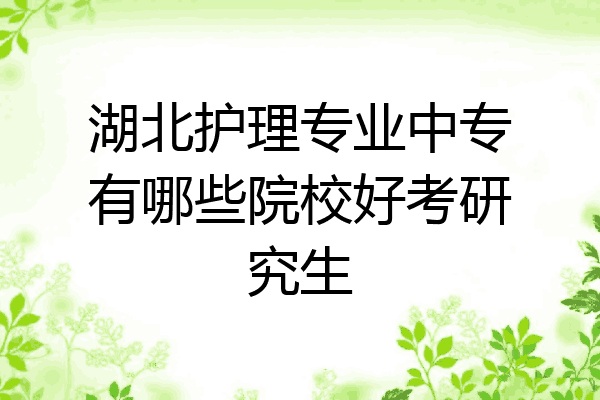 湖北护理专业中专有哪些院校好考研究生