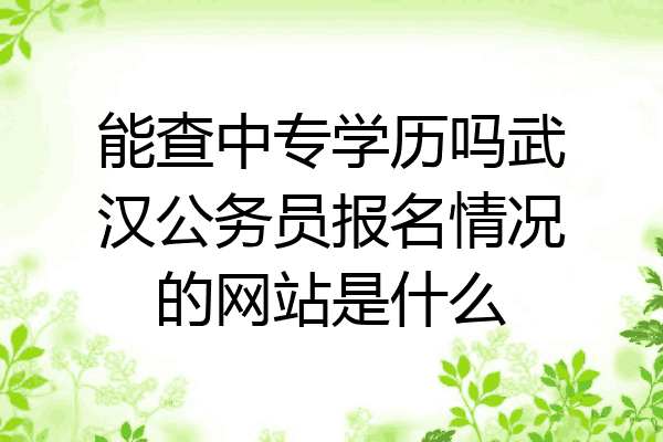 能查中专学历吗武汉公务员报名情况的网站是什么