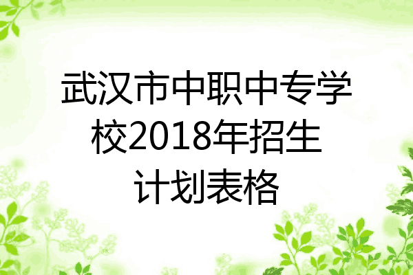 武汉市中职中专学校2018年招生计划表格