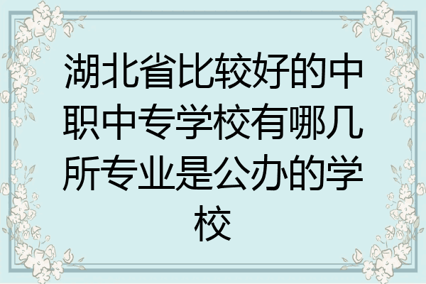 湖北省比较好的中职中专学校有哪几所专业是公办的学校