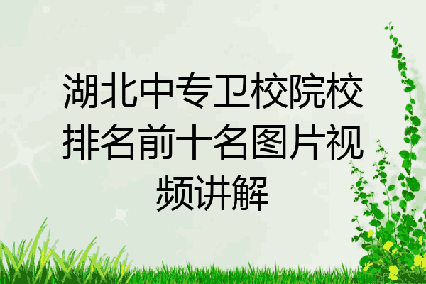 湖北中专卫校院校排名前十名图片视频讲解