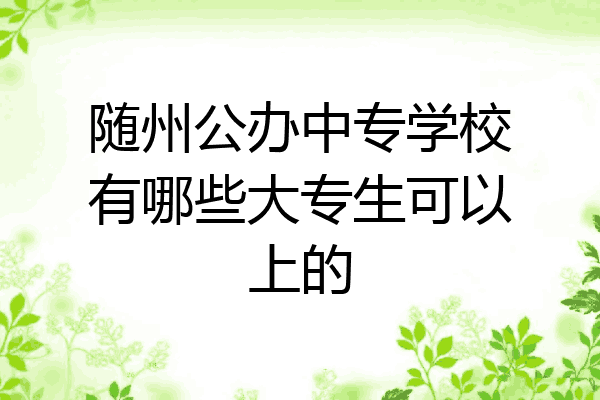 随州公办中专学校有哪些大专生可以上的
