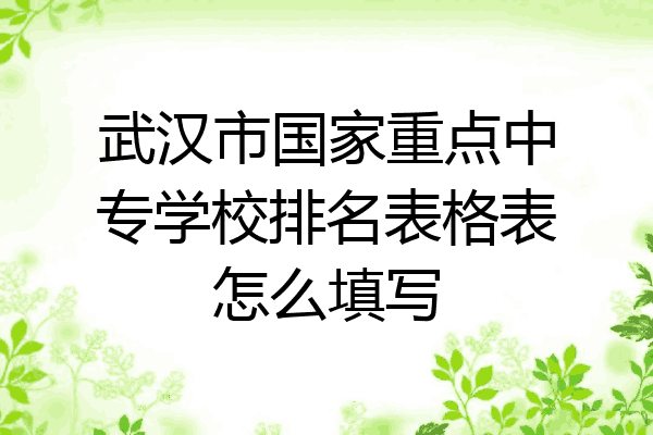 武汉市国家重点中专学校排名表格表怎么填写