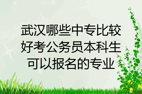 武汉哪些中专比较好考公务员本科生可以报名的专业