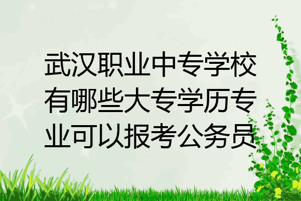 武汉职业中专学校有哪些大专学历专业可以报考公务员