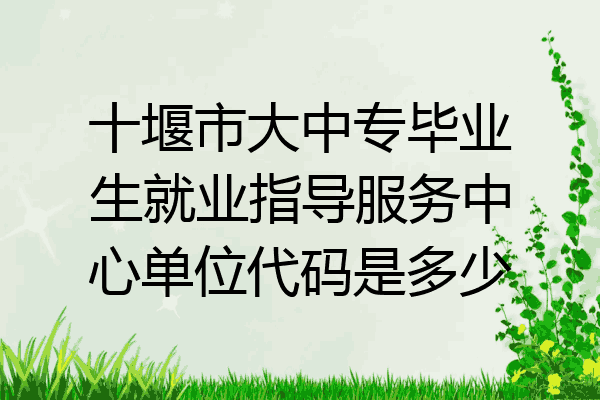 十堰市大中专毕业生就业指导服务中心单位代码是多少