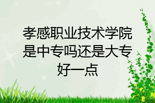 孝感职业技术学院是中专吗还是大专好一点