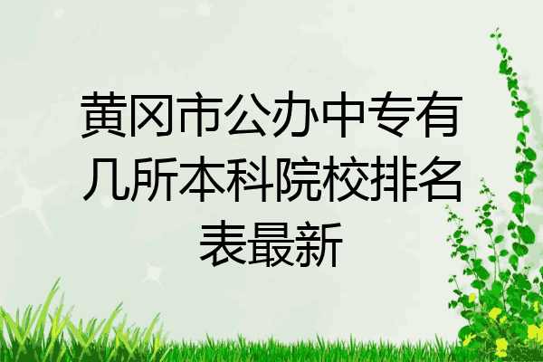 黄冈市公办中专有几所本科院校排名表最新