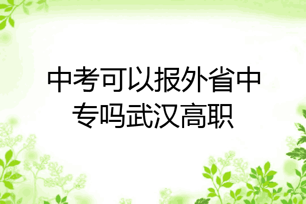 中考可以报外省中专吗武汉高职