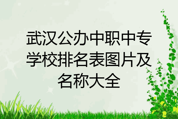 武汉公办中职中专学校排名表图片及名称大全
