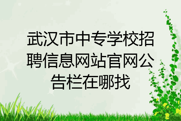 武汉市中专学校招聘信息网站官网公告栏在哪找
