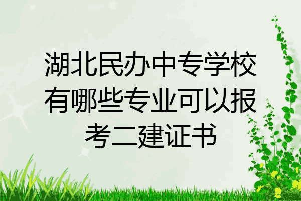 湖北民办中专学校有哪些专业可以报考二建证书