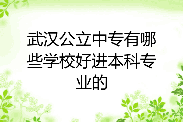 武汉公立中专有哪些学校好进本科专业的