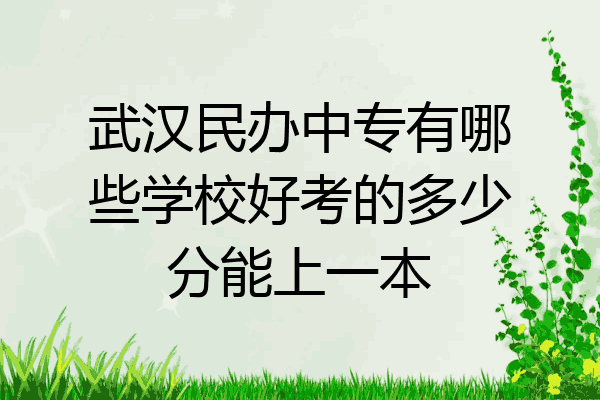 武汉民办中专有哪些学校好考的多少分能上一本