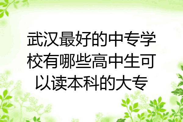 武汉最好的中专学校有哪些高中生可以读本科的大专