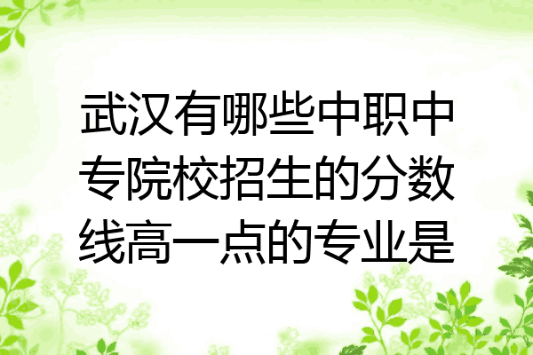 武汉有哪些中职中专院校招生的分数线高一点的专业是