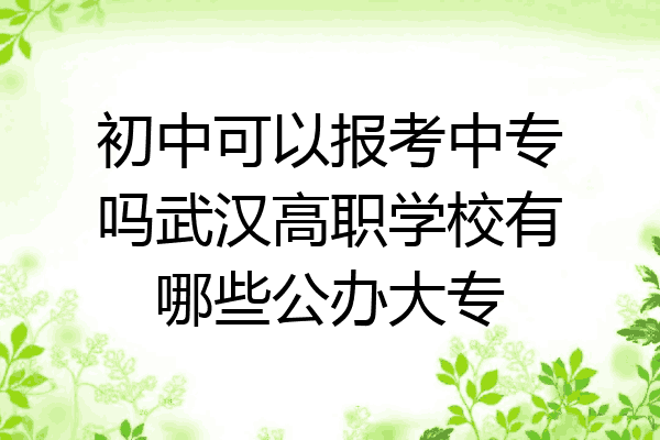 初中可以报考中专吗武汉高职学校有哪些公办大专