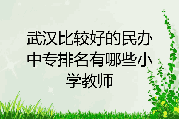 武汉比较好的民办中专排名有哪些小学教师
