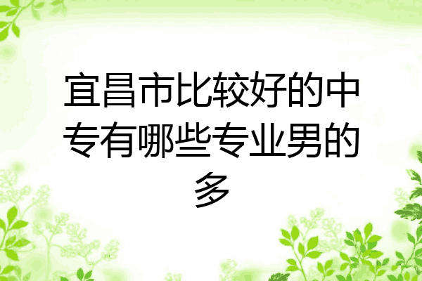 宜昌市比较好的中专有哪些专业男的多