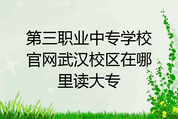 第三职业中专学校官网武汉校区在哪里读大专