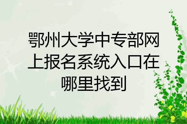 鄂州大学中专部网上报名系统入口在哪里找到