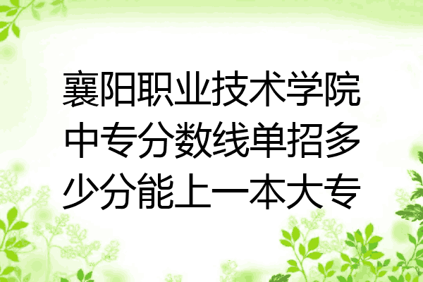 襄阳职业技术学院中专分数线单招多少分能上一本大专