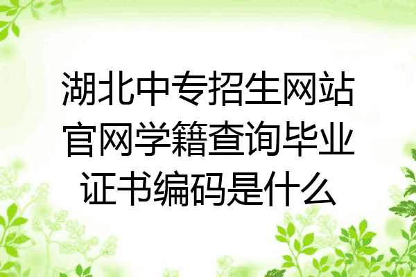 湖北中专招生网站官网学籍查询毕业证书编码是什么