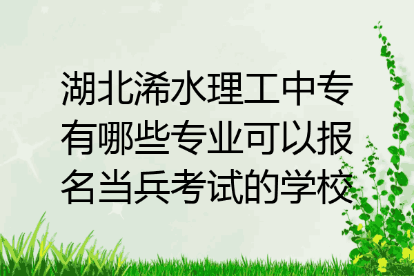 湖北浠水理工中专有哪些专业可以报名当兵考试的学校