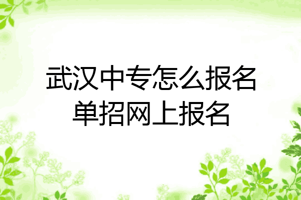武汉中专怎么报名单招网上报名