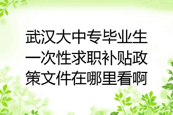 武汉大中专毕业生一次性求职补贴政策文件在哪里看啊