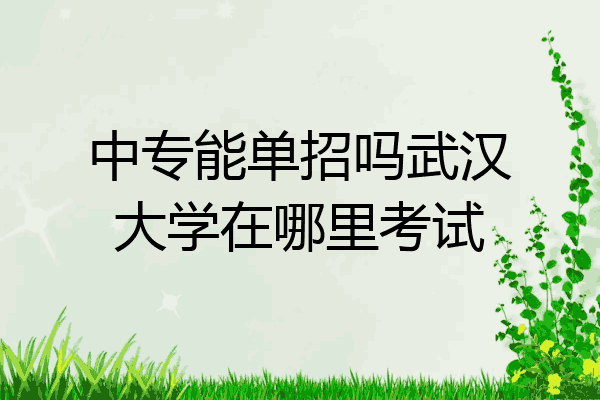 中专能单招吗武汉大学在哪里考试
