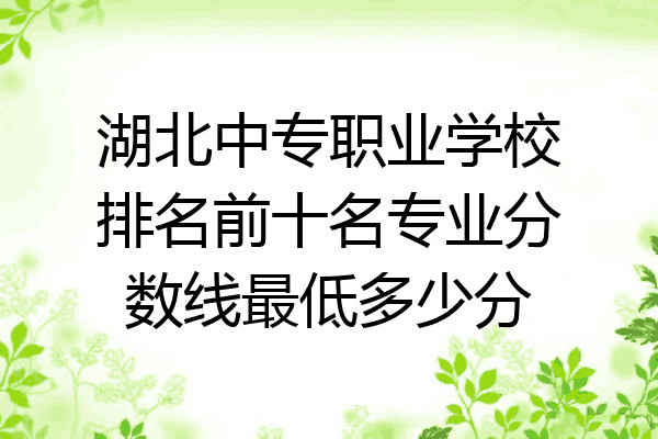湖北中专职业学校排名前十名专业分数线最低多少分