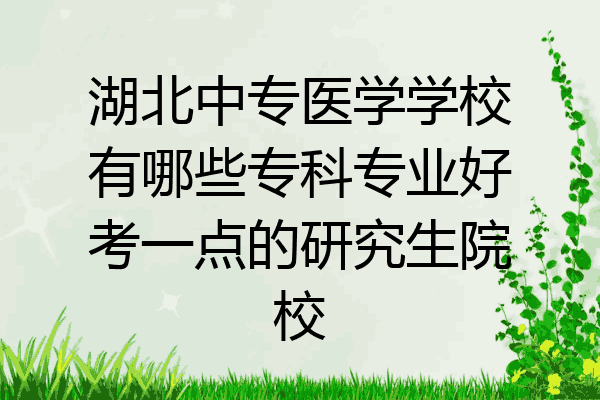 湖北中专医学学校有哪些专科专业好考一点的研究生院校