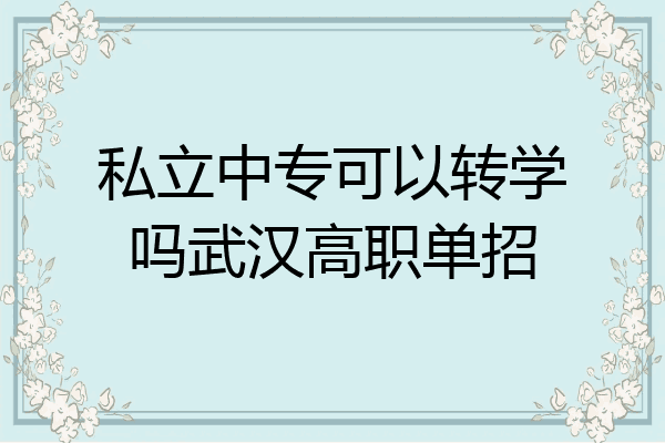 私立中专可以转学吗武汉高职单招