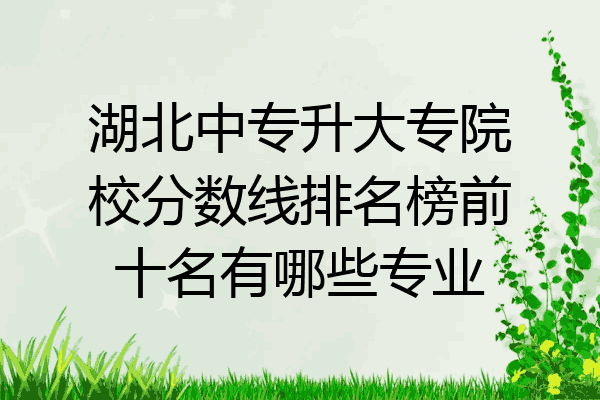 湖北中专升大专院校分数线排名榜前十名有哪些专业