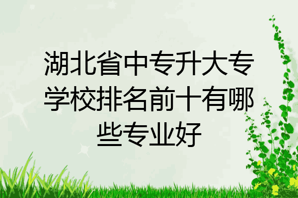 湖北省中专升大专学校排名前十有哪些专业好