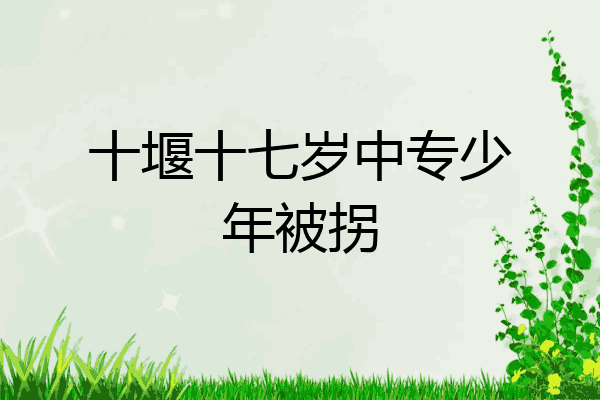 十堰十七岁中专少年被拐
