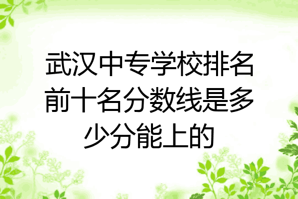 武汉中专学校排名前十名分数线是多少分能上的